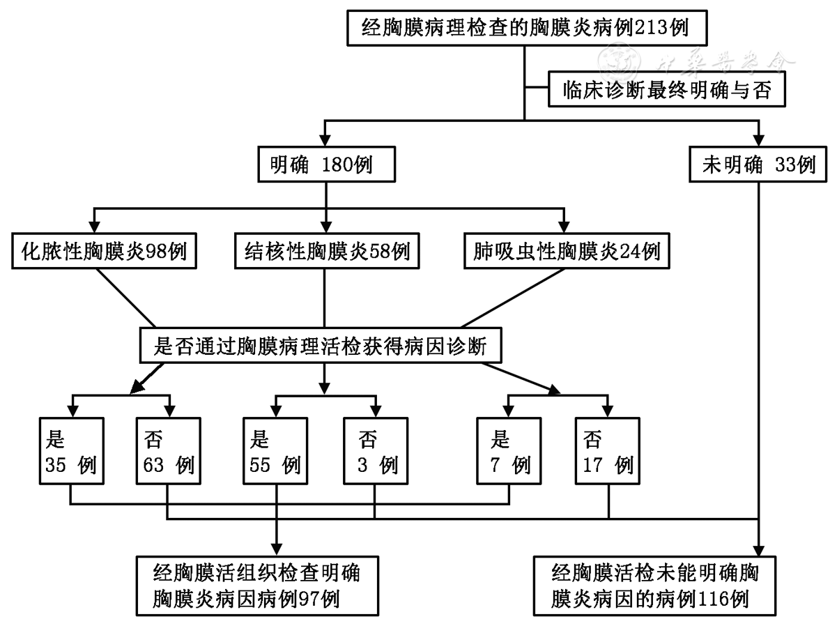 胸膜活组织检查在儿童胸膜炎病因诊断中的临床价值