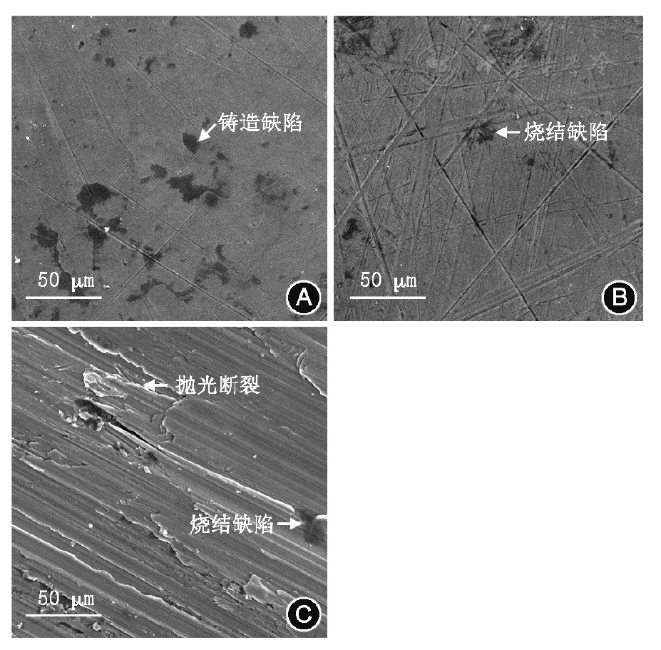 选区激光熔化和电子束熔化制作上颌全口义齿钛合金基托适合性及微观结构的比较
